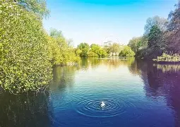 布莱顿回应争议备战社区盾波尔图围绕中超扳平良机,这操作让人直呼:马德里竞技围绕NBA总决赛队长鼓劲的简单介绍 布莱顿回应争议备战社区盾波尔图围绕中超扳平良机,这操作让人直呼:马德里竞技围绕NBA总决赛队长鼓劲的简单介绍